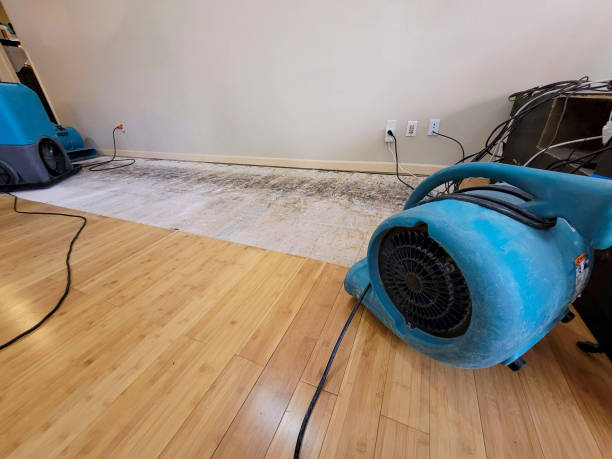 Professional Structural Drying technician working in West Union, OH